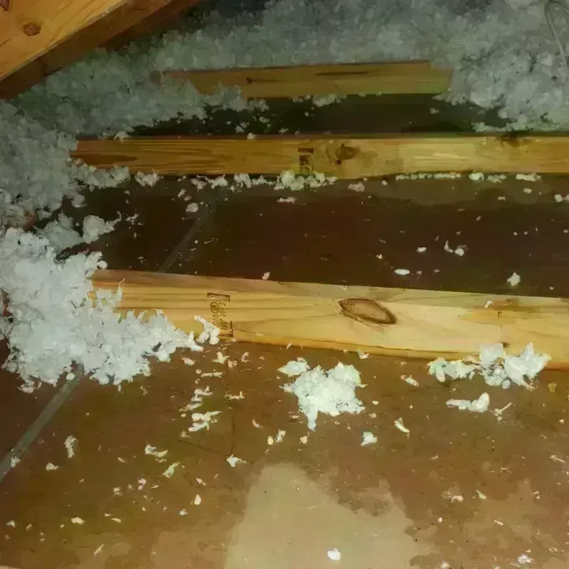 Attic Water Damage in Bear Creek, AL